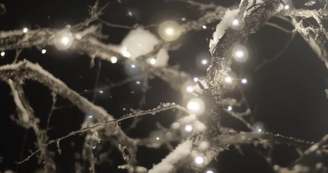 Close Up of Bright Light Decorations in a Tree on a Snowy Winter Night Stock Footage 86221160