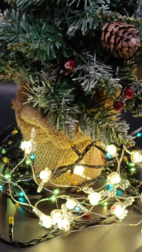 Close-up of bright multi-colored Christmas lights on a tree 스톡 동영상 322677560