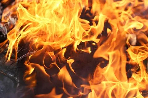 Close Up Bright Orange Fire Flames Burning Wood in Campfire Stock Photos
