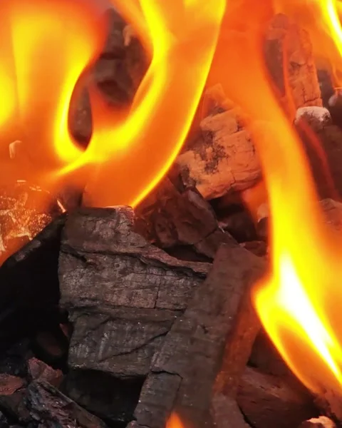 Close-Up of Bright Orange Flame Over Burning Charcoal and Embers, Intense H.. 库存影片 348113609