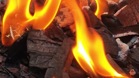 Close-Up of Bright Orange Flame Over Burning Charcoal and Embers, Intense H.. Vídeo Stock 348114029