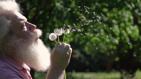 Close up bright portrait of bearded senior man blowing on dandelions. 库存影片 109754154