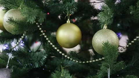 Close-up of a bright red and gold balloon hanging among the green branches Stock Footage 227205923