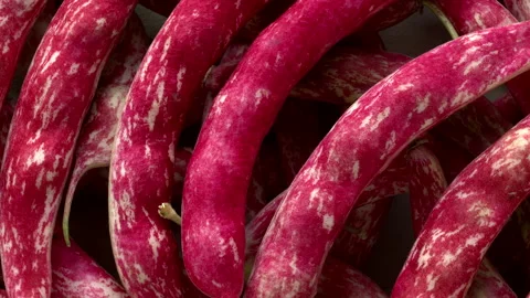 A close-up of bright red borlotti bean pods. 動画素材 348561794