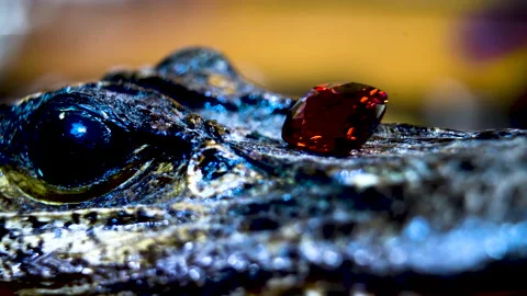 Close-up. Bright Red Gemstone Ruby. Jewelry stones Stock Footage 198849747