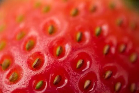Close-Up of Bright Red Strawberry Surface with Green Seeds and Glossy Textu.. Foto stock