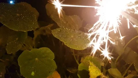 Close-up of bright sparkler burning at night, beautiful bengal fire, celebration Stock Footage 84038003