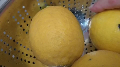 Close-up of Bright Yellow Lemons in a Stainless Steel Colander Stock Footage 299715092