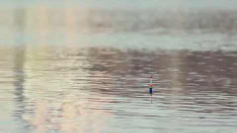 Close Up Of A Brightly Colored Fishing Float (Bobber) Resting On Calm Water With 動画素材 309772555
