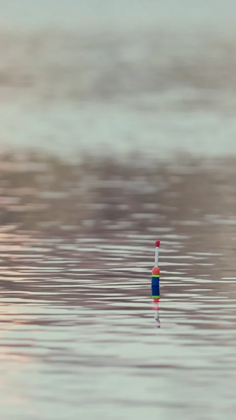 Close Up Of A Brightly Colored Fishing Float (Bobber) Resting On Calm Water With 動画素材 322979969