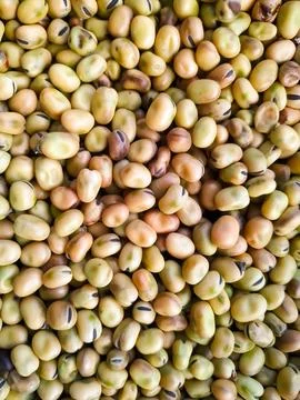 Close up of Broad beans background Stock Photos