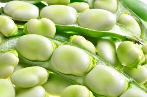 Close up of broad beans grains Stock Photos