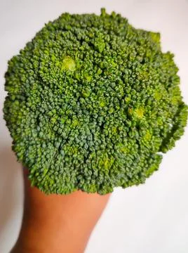 Close up of broccoli Stock Photos