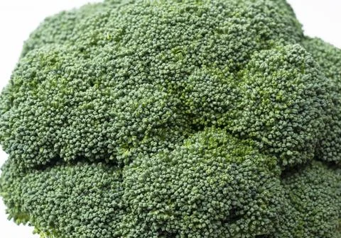 Close-up of broccoli placed on a white background Stock Photos