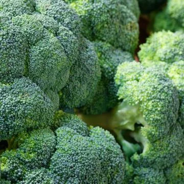 Close-up, broccoli texture. Foto stock