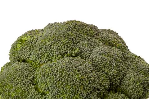 CLOSE UP OF BROCCOLI ON WHITE BACKGROUND Stock Photos