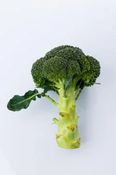 Close up Broccoli on white Stock Photos