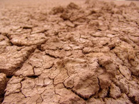 Close-up of broken and grunge texture of the arid floor Stock Photos