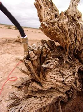 Close-up of broken and grunge texture of the arid floor Stock Photos