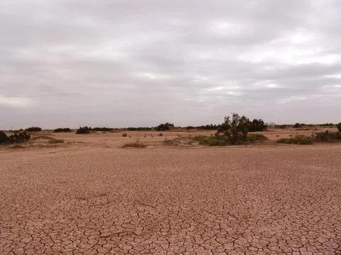Close-up of broken and grunge texture of the arid floor Stock Photos