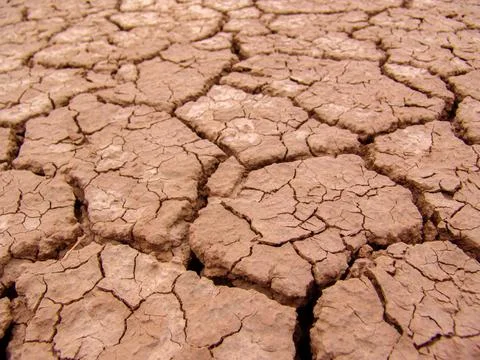 Close-up of broken and grunge texture of the arid floor Stock Photos