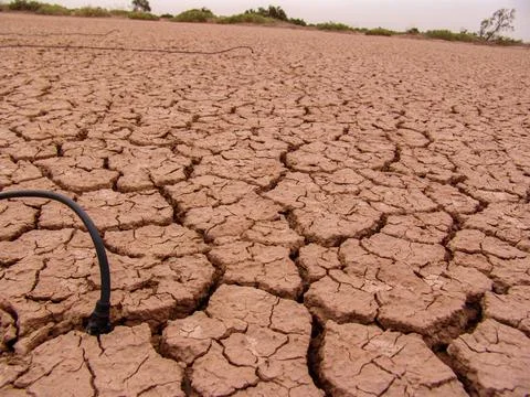 Close-up of broken and grunge texture of the arid floor Stock Photos