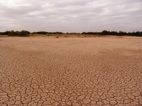 Close-up of broken and grunge texture of the arid floor Stock Photos
