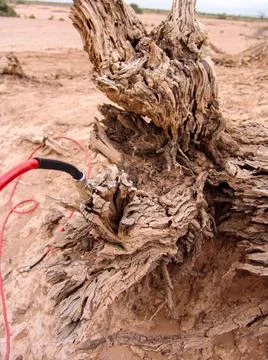 Close-up of broken and grunge texture of the arid floor Stock Photos