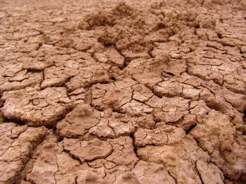 Close-up of broken and grunge texture of the arid floor Stock Photos
