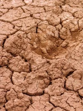 Close-up of broken and grunge texture of the arid floor Foto stock