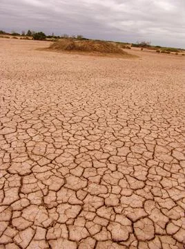 Close-up of broken and grunge texture of the arid floor Stock Photos