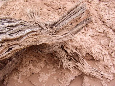 Close-up of broken and grunge texture of the arid floor Stock Photos
