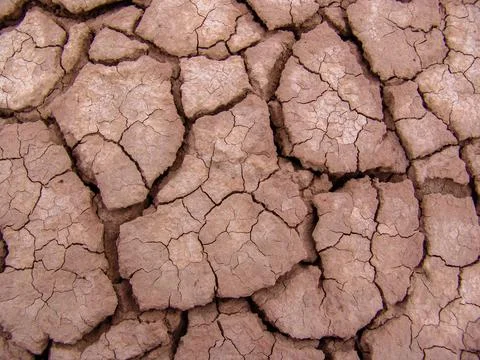 Close-up of broken and grunge texture of the arid floor Stock Photos