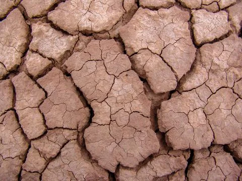 Close-up of broken and grunge texture of the arid floor Stock Photos