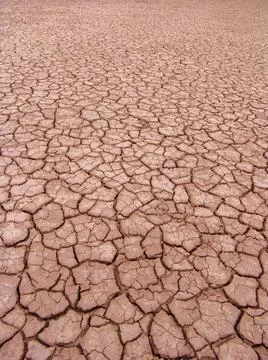Close-up of broken and grunge texture of the arid floor Stock Photos