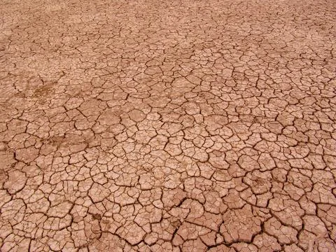 Close-up of broken and grunge texture of the arid floor Stock Photos