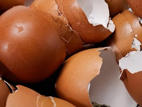 Close-up of broken brown eggshells piled together, captured in natural ligh.. Stock Photos