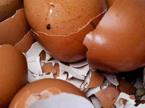 Close-up of broken brown eggshells piled together, captured in natural ligh.. Stock Photos