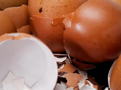 Close-up of broken brown eggshells piled together, captured in natural ligh.. 스톡 사진