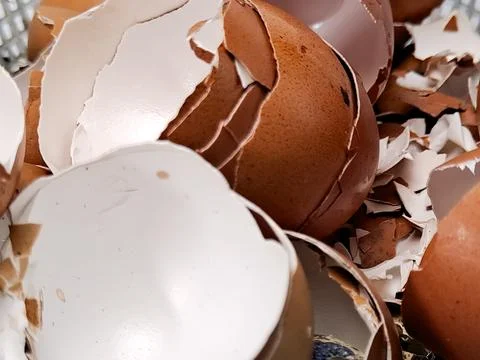 Close-up of broken brown eggshells piled together, captured in natural ligh.. Stock Photos