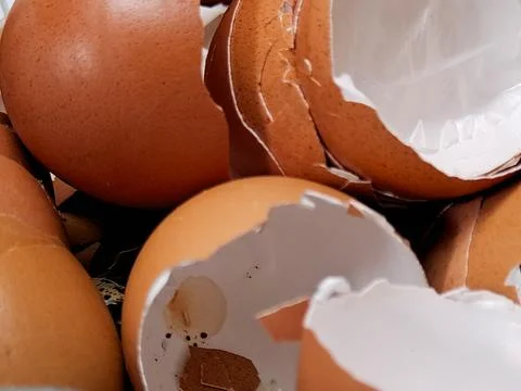 Close-up of broken brown eggshells piled together, captured in natural ligh.. 스톡 사진