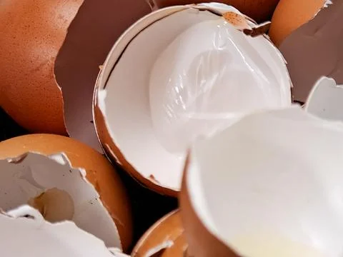 Close-up of broken brown eggshells piled together, captured in natural ligh.. Stock Photos