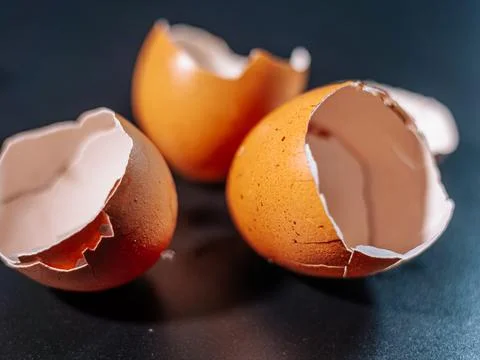 Close-up of broken brown eggshells scattered on a dark surface. Stock Photos