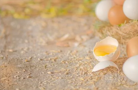 Close up broken egg Stock Photos