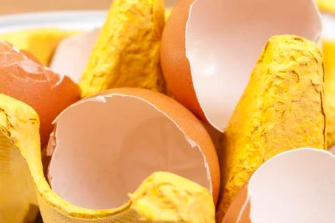 Close up of broken egg shells in an egg carton Stock Photos