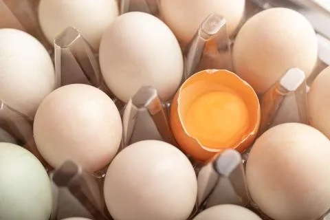 Close up broken eggs of chicken in plastic box Stock-Fotos