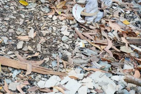 Close-up of broken glass, ceramic shards, and rubble mixed with dry leaves. Stockfoto's