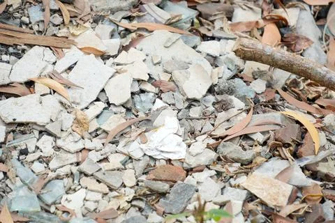 Close-up of broken glass, ceramic shards, and rubble mixed with dry leaves. 스톡 사진