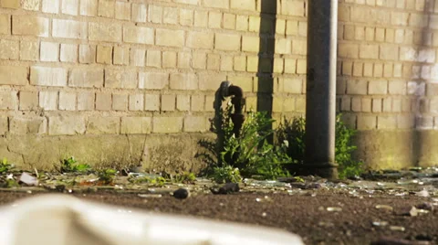 Close-up of a broken glass window. Stock Footage 37226429