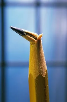 Close up of the broken tip of a pencil Stock Photos